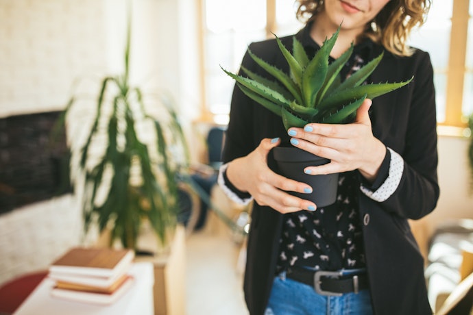Escolha o Cachepô pelo Diâmetro do Vaso de Flor