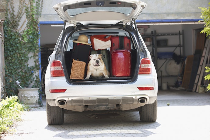 Para Viagens e Transportes, Procure por um Porta-Malas Grande