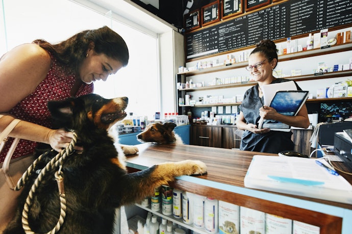 Verifique se o Shopping do Rio de Janeiro é Pet-Friendly