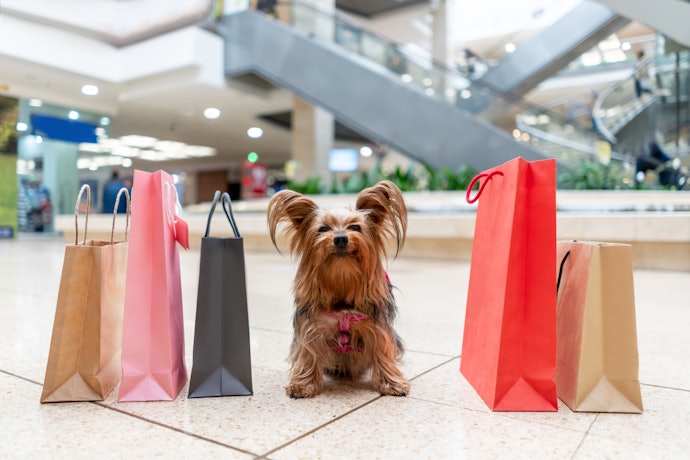 Observe as Comodidades e Serviços que os Shoppings Oferecem à Você