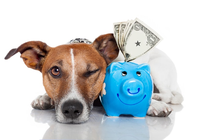 Com um Plano para Pets Fica Fácil Fazer um Bom Planejamento Financeiro