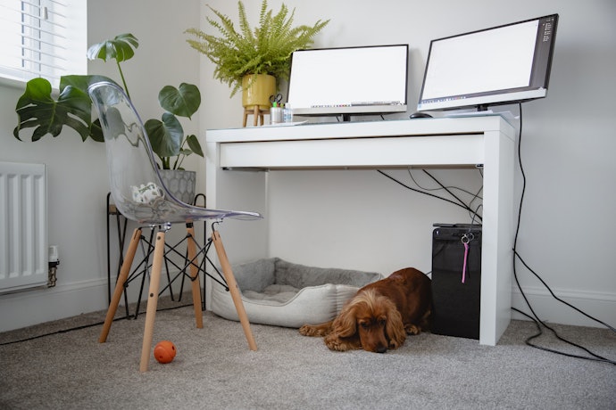 Cadeira Eames Eiffel com Assento Rígido: Básica e Muito Versátil