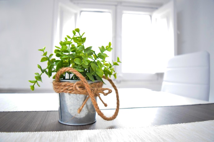 Cachepôs de Metal: Designs Simples que Combina com Qualquer Ambiente