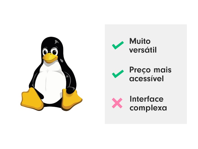 Linux: Mais Indicado para Usuários Avançados