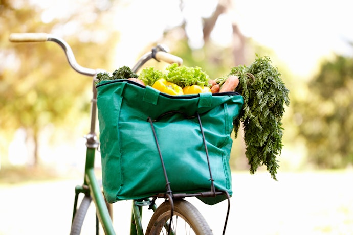 Ecobags de Lona e Nylon São Resistentes e Estruturadas, Perfeitas para Feiras e Mercados