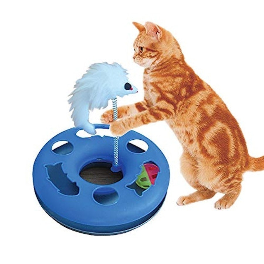 Magazine para gatos - Jogos para gatos e treino: Brinquedos de