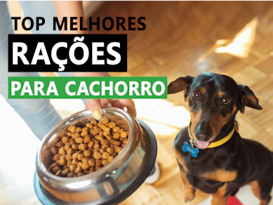 Melhores Rações para Cachorro em 2025 (Gran Plus, Royal Canin, Premier Pet e mais)