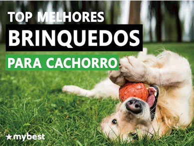 Melhores Brinquedos para Cachorro em 2025 (Pet Games, Kong e mais)