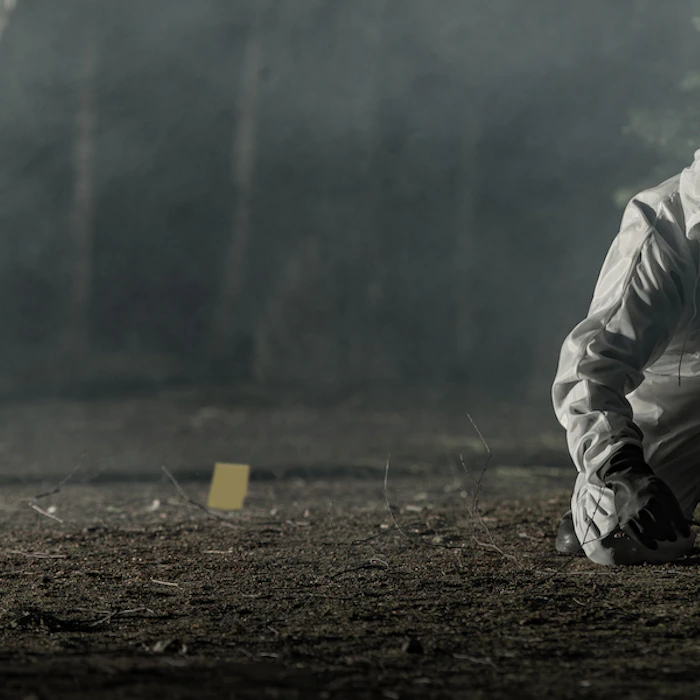 Séries de Mistério Netflix: 10 Dicas Imperdíveis para Maratonar