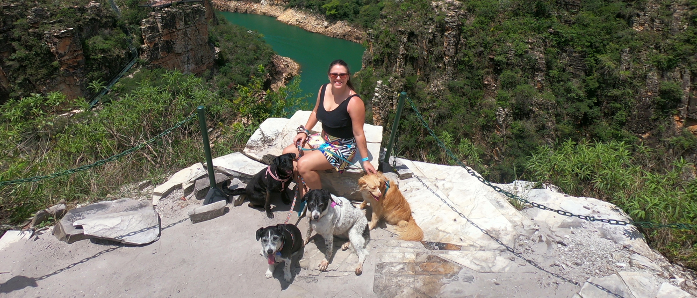 Viagem com Pet: 10 Produtos que Não Podem Faltar na Bagagem