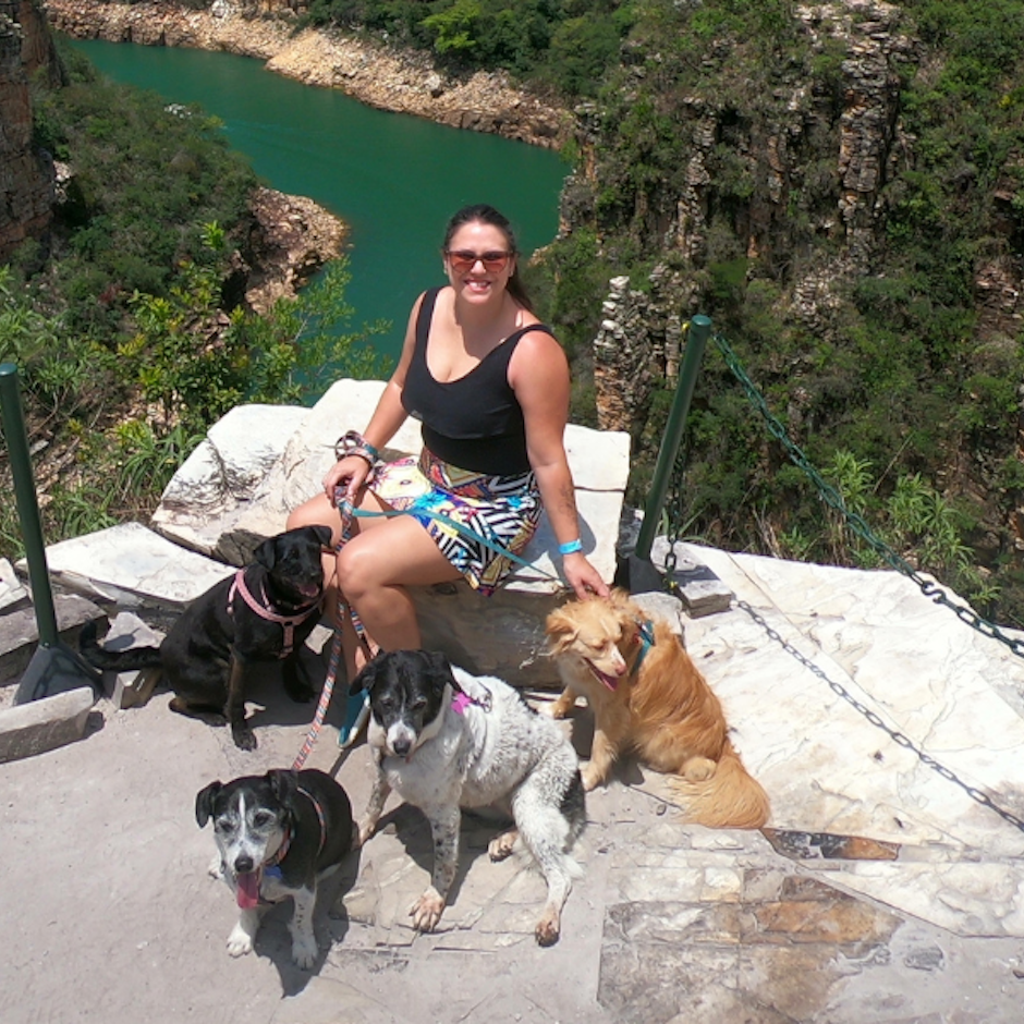 Viagem com Pet: 10 Produtos que Não Podem Faltar na Bagagem