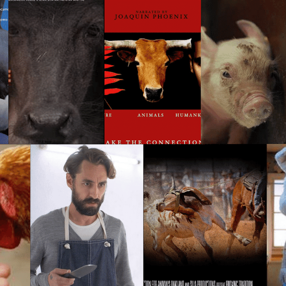 Documentários Sobre a Causa Animal: 13 Produções para Entender a Filosofia Vegana