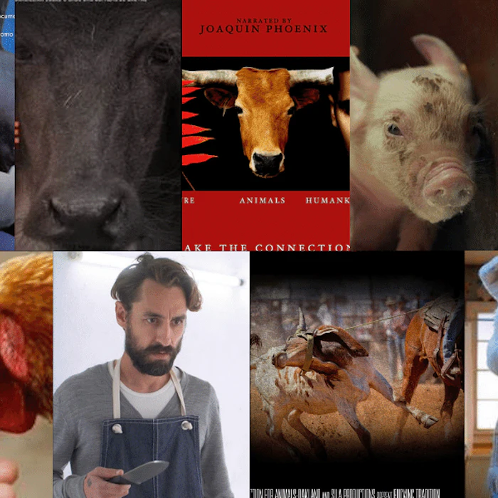 Documentários Sobre a Causa Animal: 13 Produções para Entender a Filosofia Vegana
