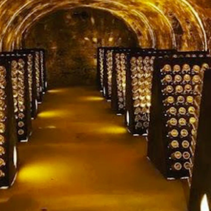 Champagne: 10 Dicas de Rótulos Famosos para Brindar e Degustar