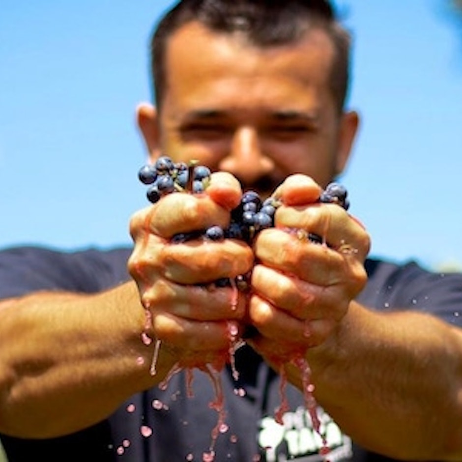 Vinho Brasileiro: 10 Rótulos para Conhecer o Vinho Nacional