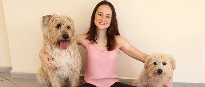 Produtos para Cachorros: 10 Itens para Cuidar do Seu Cão no Dia a Dia