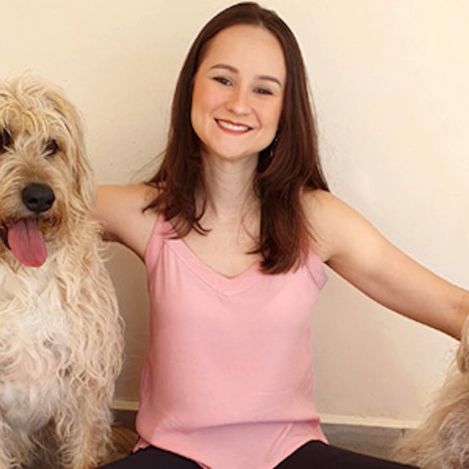 Produtos para Cachorros: 10 Itens para Cuidar do Seu Cão no Dia a Dia