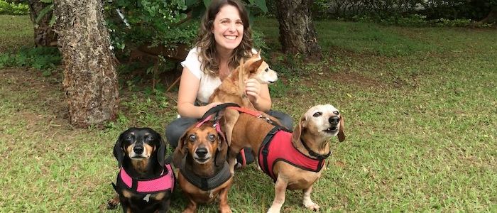 Produtos para Cachorro: 10 Itens para Alimentar, Brincar e Cuidar