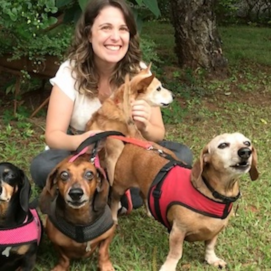 Produtos para Cachorro: 10 Itens para Alimentar, Brincar e Cuidar