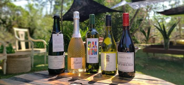 Veja 5 Vinhos para a Primavera: Espumante, Branco e Tinto