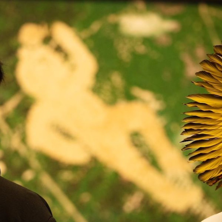 Artistas Plásticos Indígenas: 5 Brasileiros Contemporâneos para Seguir