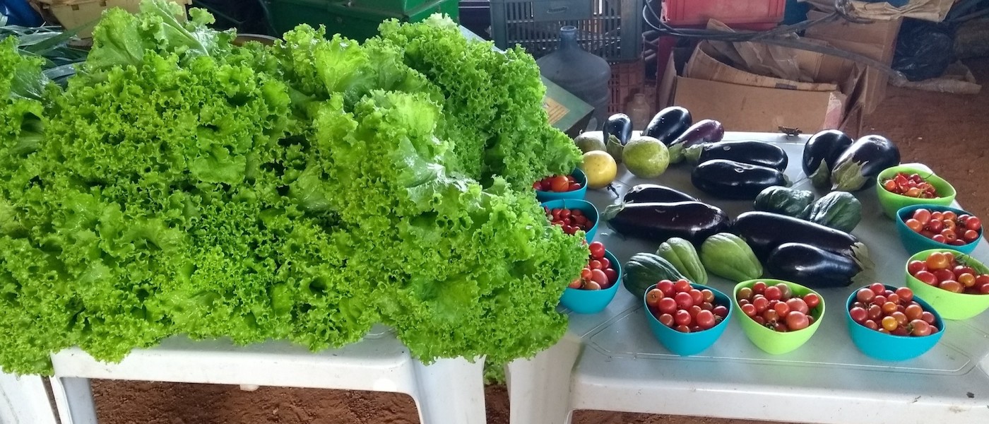 Feiras de Orgânicos em Brasília: 5 Endereços no Distrito Federal