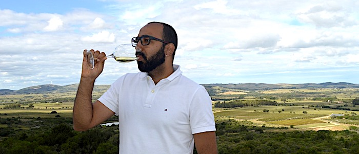 Conheça 10 Vinhos Portugueses para Todos os Bolsos e Gostos					