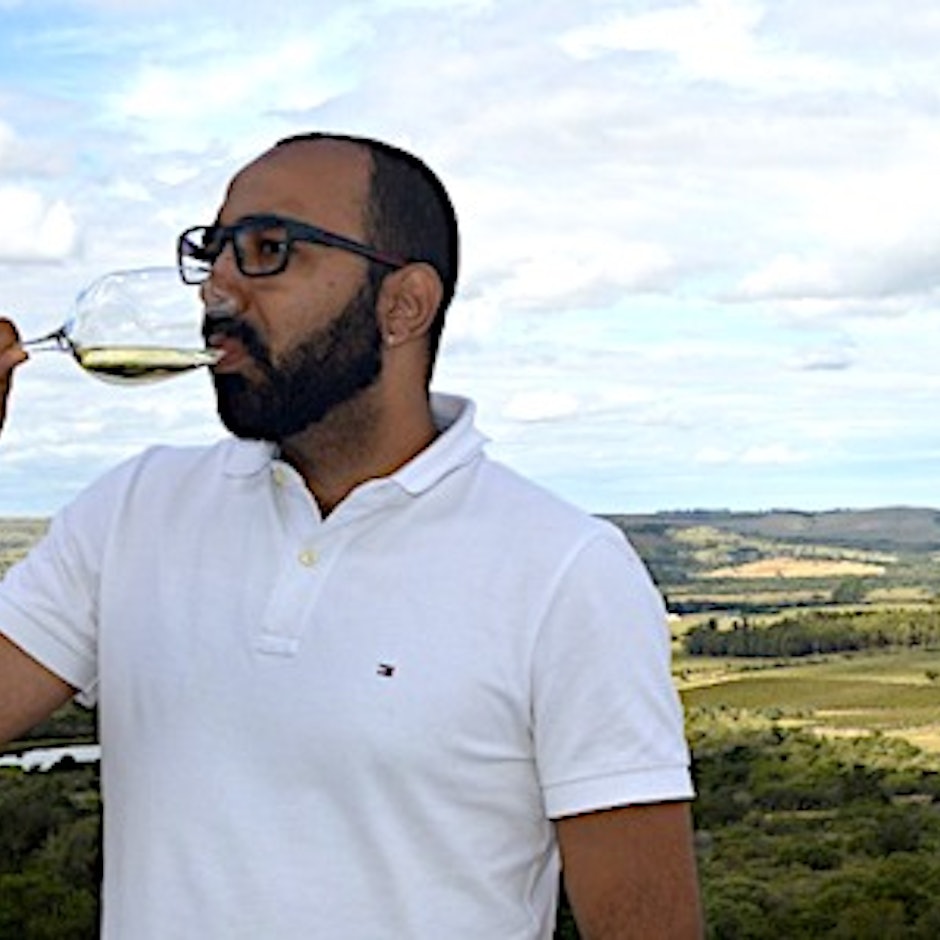 Conheça 10 Vinhos Portugueses para Todos os Bolsos e Gostos