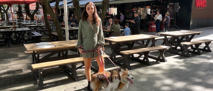 Restaurantes Pet Friendly Rio de Janeiro: 5 Endereços para Ir com Seu Cão