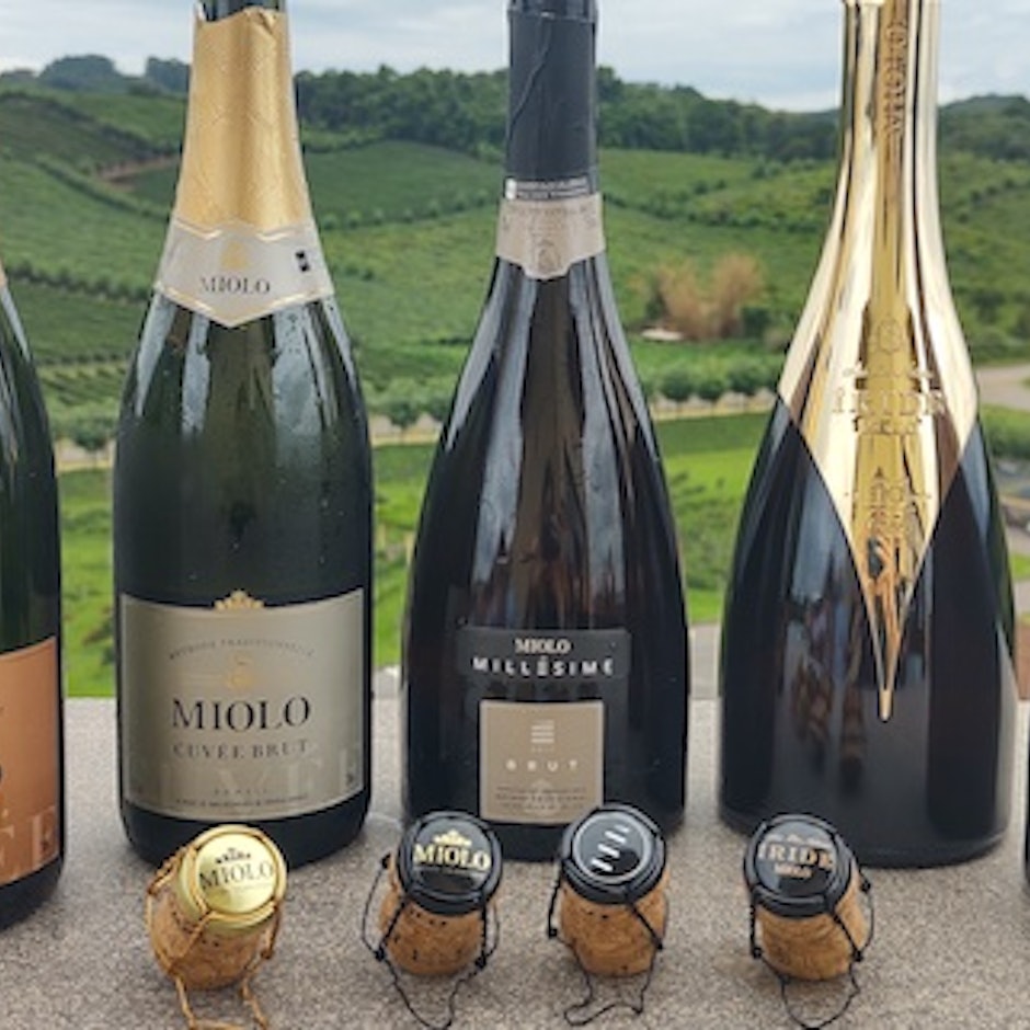 Espumante Nacional: 10 Dicas para Apaixonar-se pelas Nossas Borbulhas