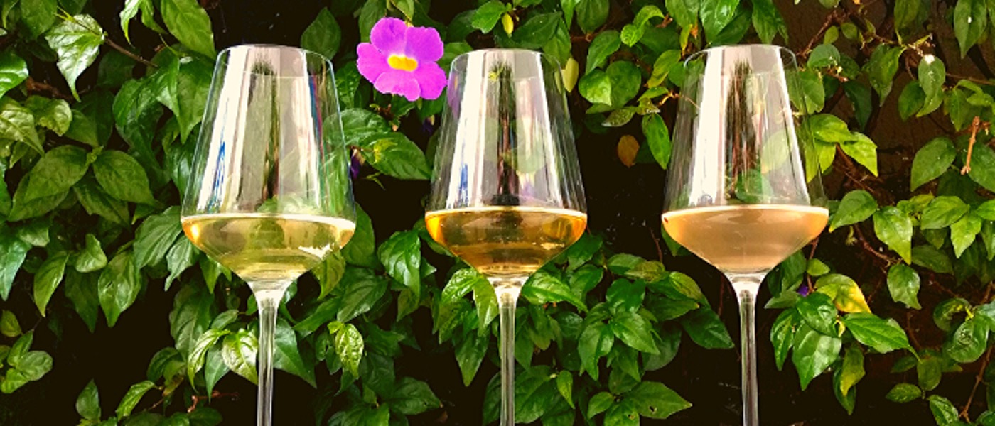 Verão: 10 Opções de Vinho Branco e Vinho Rosé para Beber no Calor