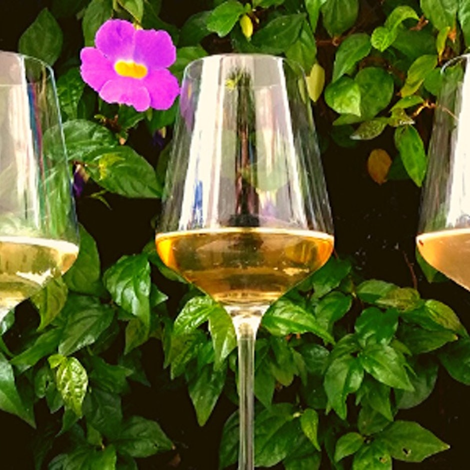 Verão: 10 Opções de Vinho Branco e Vinho Rosé para Beber no Calor