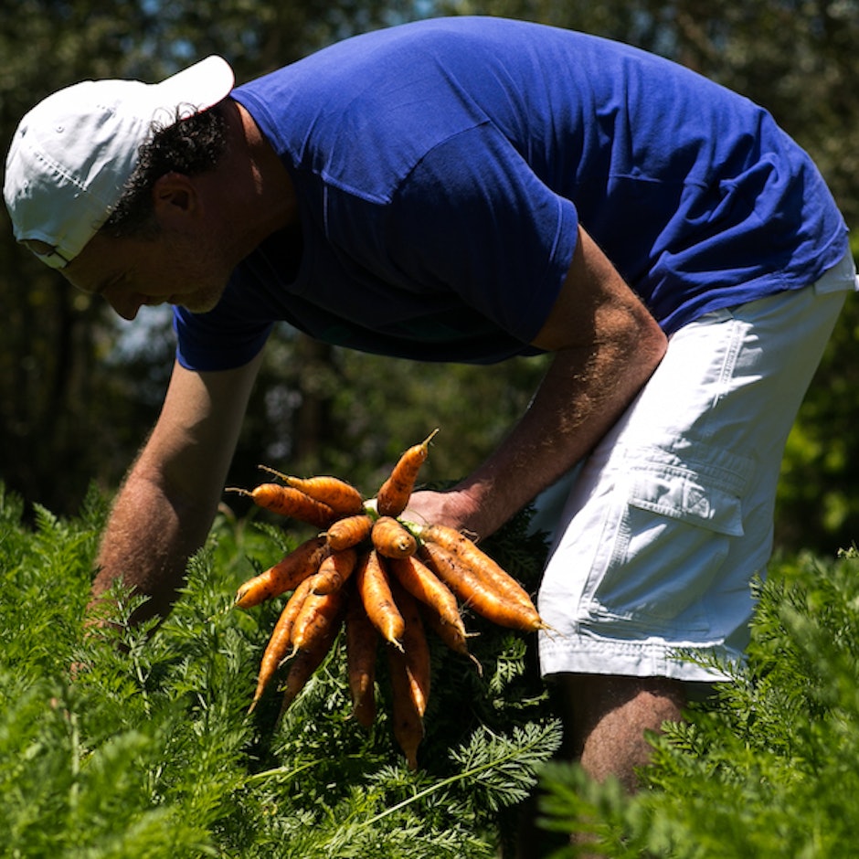 Selos de Produtos Orgânicos: 5 Dicas para Identificá-los e Entender as Certificações