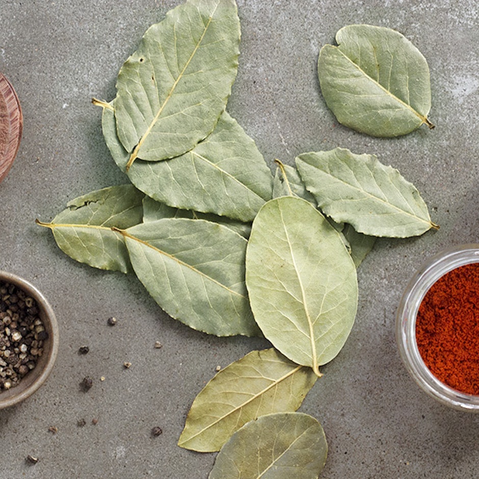 Temperos: 10 Condimentos Naturais para Dar Mais Sabor à Comida