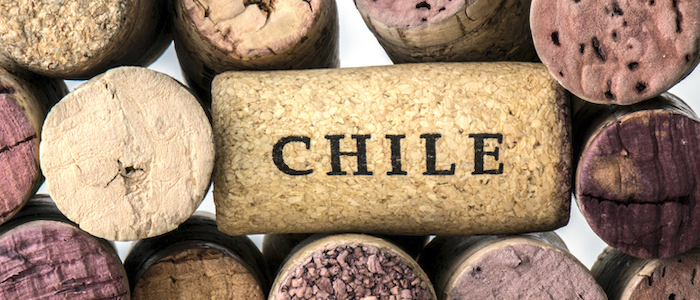 Vinho Chileno: 10 Rótulos Entre R$100 e R$200 que Merecem Atenção