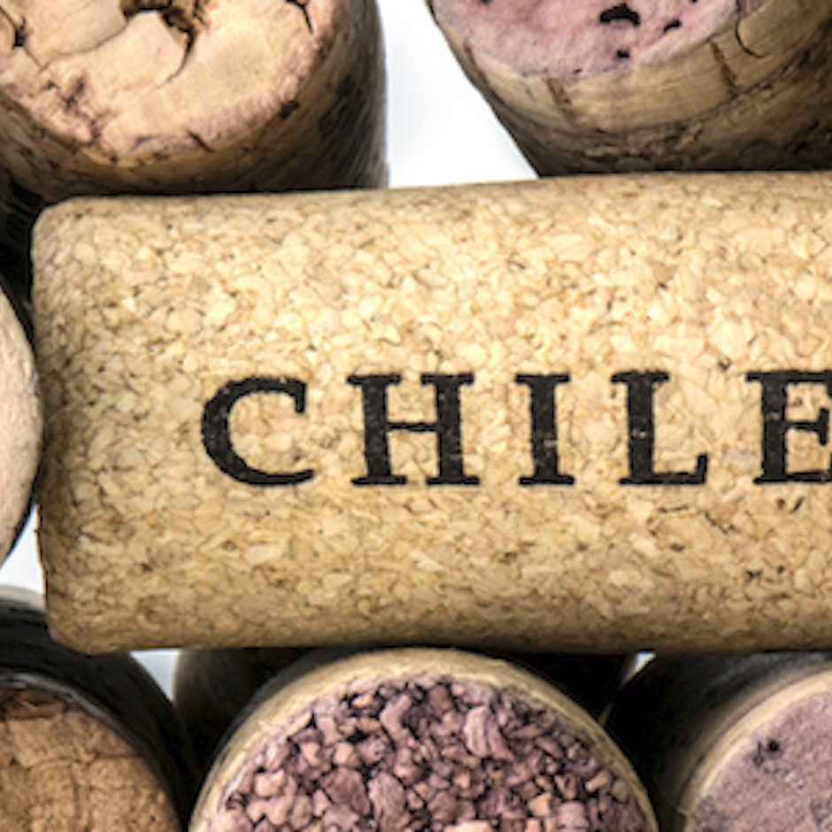 Vinho Chileno: 10 Rótulos Entre R$100 e R$200 que Merecem Atenção