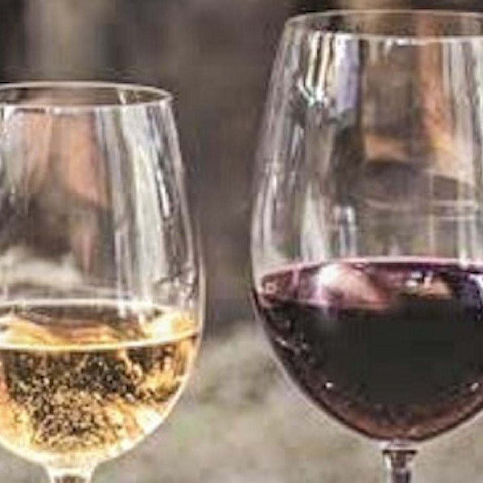 Sommelier Indica 10 Bons Vinhos para o Dia a Dia por até R$100