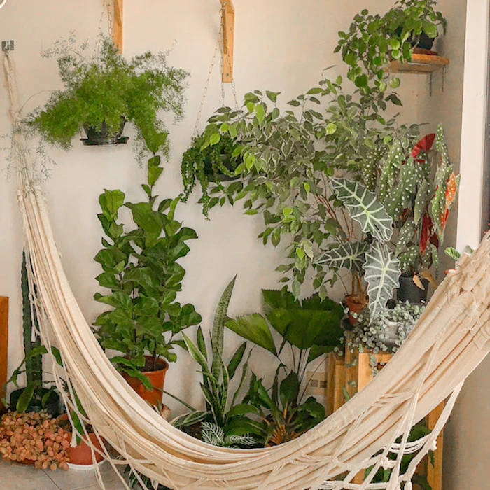 Urban Jungle: Veja 10 Itens para Cultivar Plantas em Apartamento