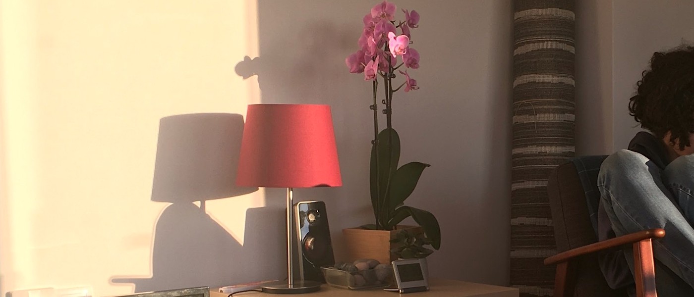 Saúde Mental: 5 Conteúdos Para Entender a Importância da Terapia