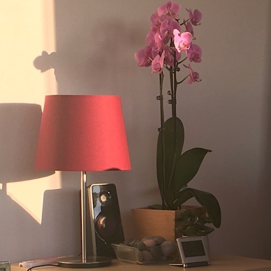 Saúde Mental: 5 Conteúdos Para Entender a Importância da Terapia