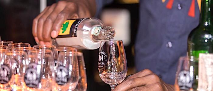 Cachaças de Alambique: Veja 8 Rótulos Indicados por Sommelier