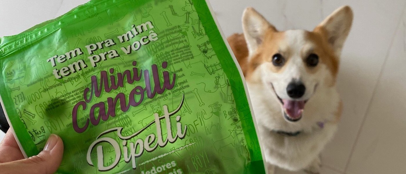 Petiscos Saudáveis para Pets: 5 Opções pra Mimar o seu Cãozinho