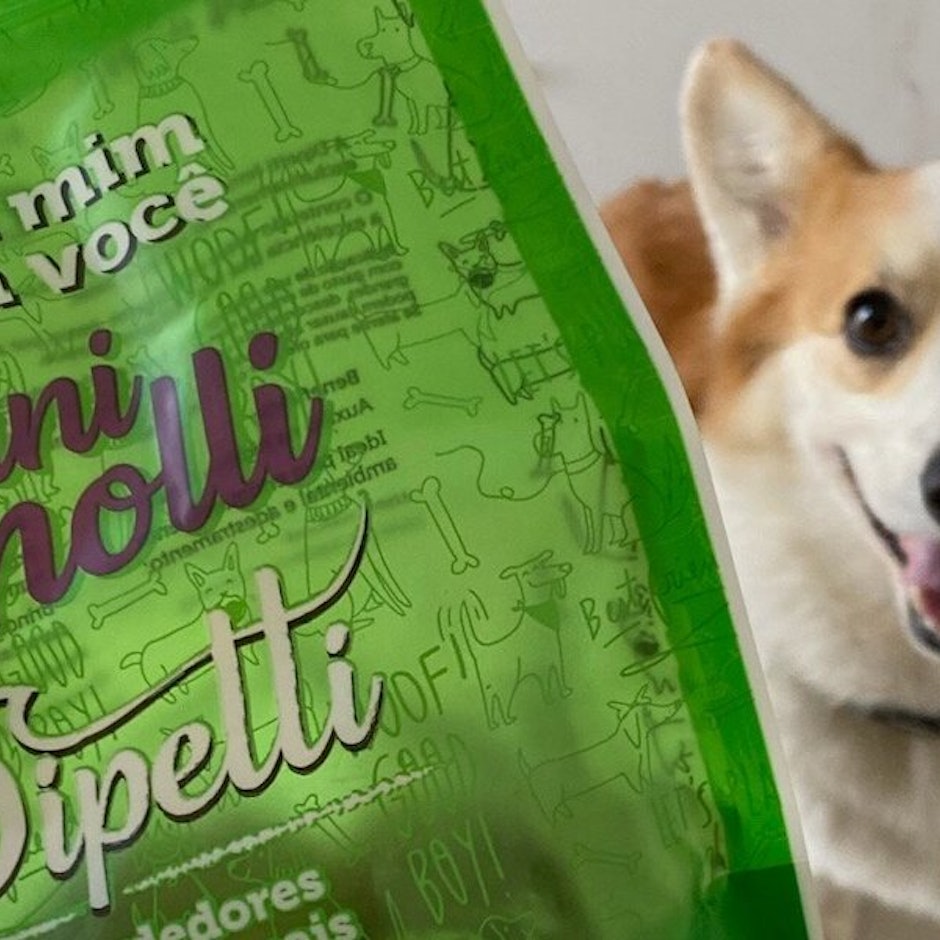 Petiscos Saudáveis para Pets: 5 Opções pra Mimar o seu Cãozinho