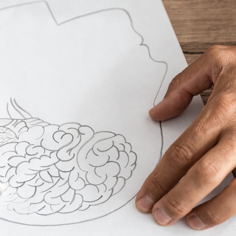 Como Prevenir o Alzheimer? Dicas para Proteger o Cérebro e Evitar o Declínio Cognitivo