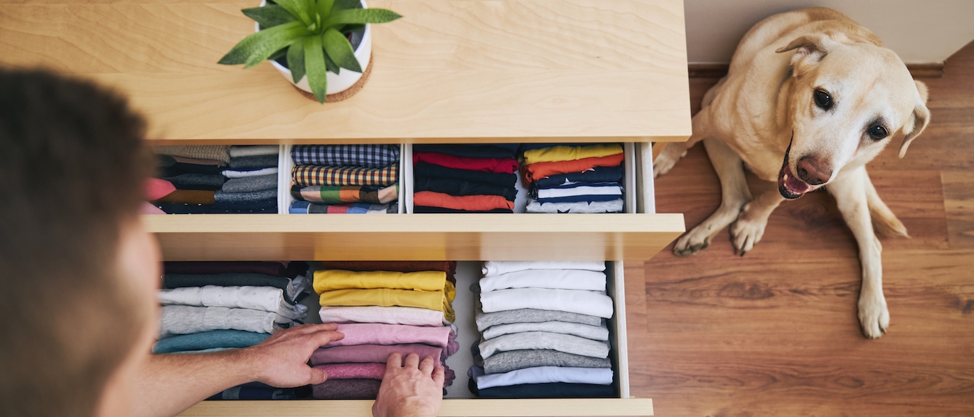 Descubra 5 Séries Sobre Organização da Casa para Mergulhar no Tema 