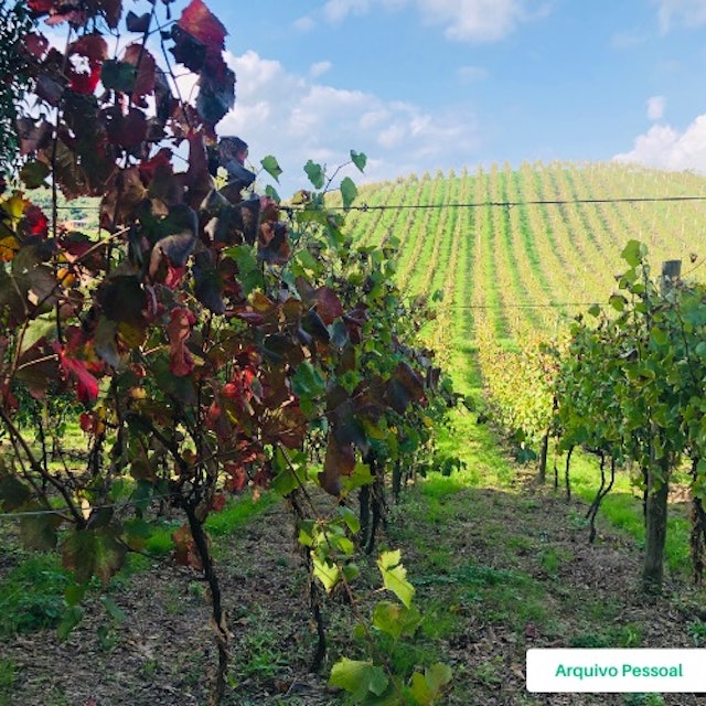 Estrelas do Brasil Vinhos Espumantes Superiores Translation missing: pt-BR.activerecord.decorators.item_part_image/alt