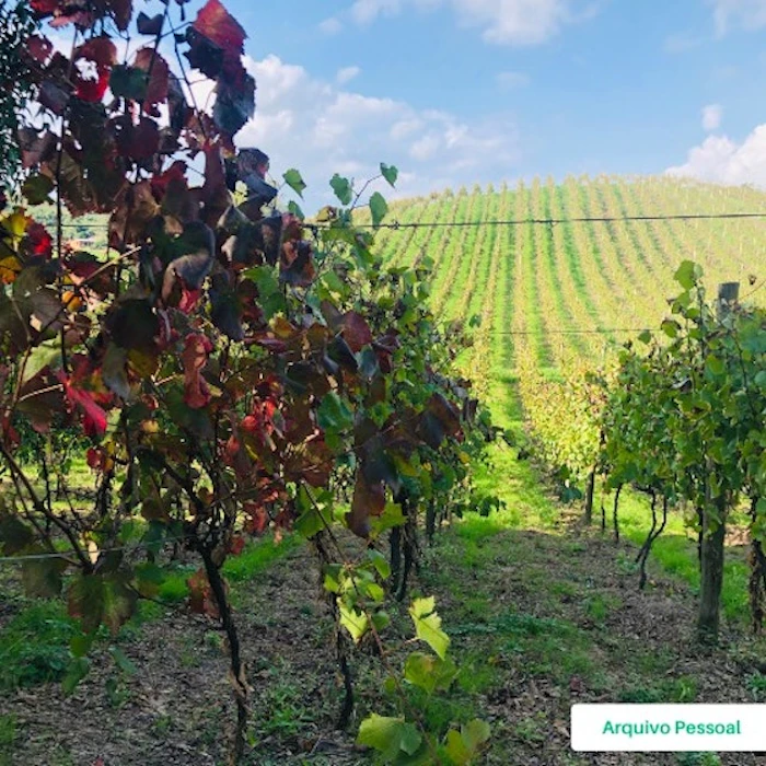 Estrelas do Brasil Vinhos Espumantes Superiores Translation missing: pt-BR.activerecord.decorators.item_part_image/alt