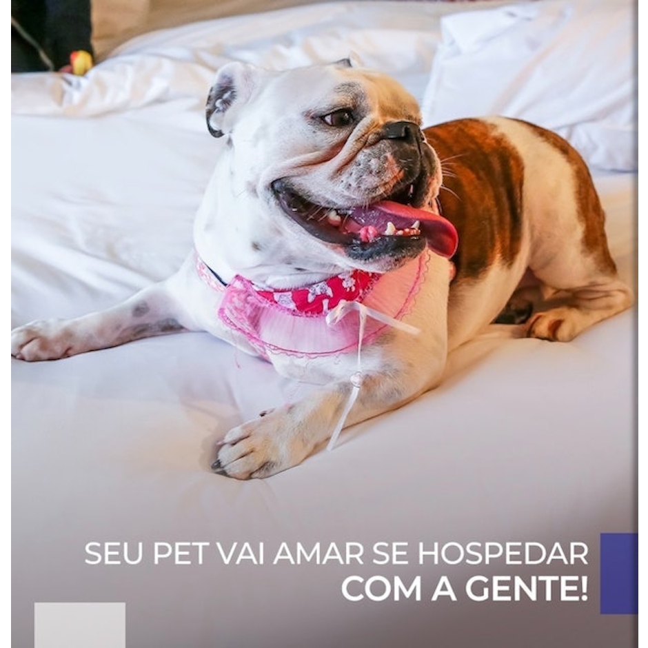 Novotel Sorocaba Translation missing: pt-BR.activerecord.decorators.item_part_image/alt