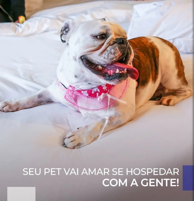 Novotel Sorocaba Translation missing: pt-BR.activerecord.decorators.item_part_image/alt