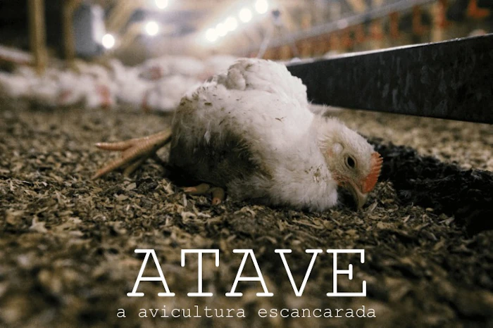 Guilherme Carvalho Atave - A Avicultura Escancarada Translation missing: pt-BR.activerecord.decorators.item_part_image/alt